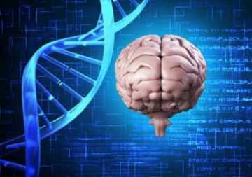 Передается ли болезнь Альцгеймера по наследству, заразно ли заболевание, наследственное, генетическое?
