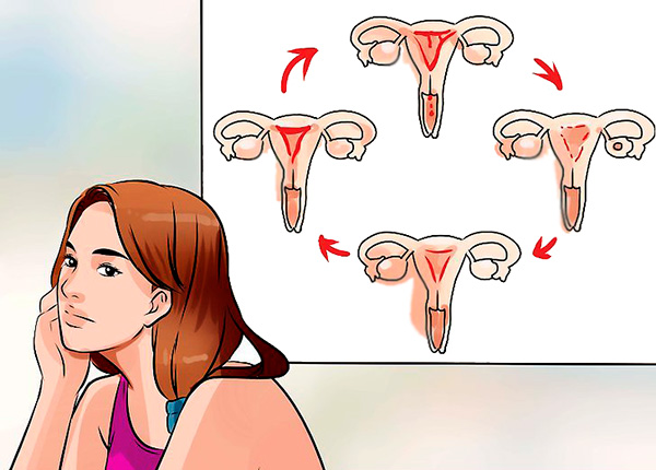 Нарушения менструального цикла как симптом патологии