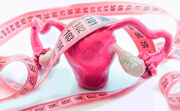 О том, как измеряется миома матки и о чем может рассказать ее размер, указанный в неделях или миллиметрах...