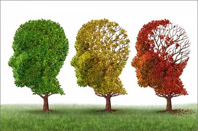 Болезнь Альцгеймера: причины, психосоматика