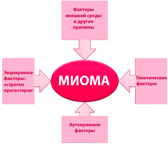 Этиология миомы